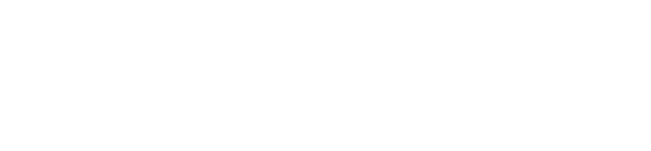 Luxury Living Rental